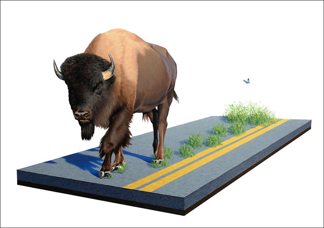 josh keyes<