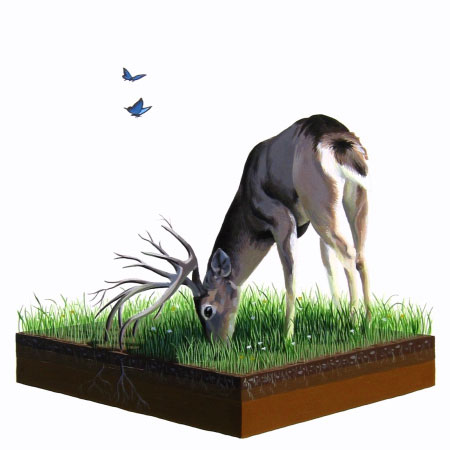 josh keyes<